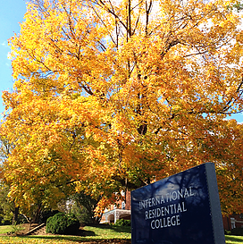 IRC building sign with tree